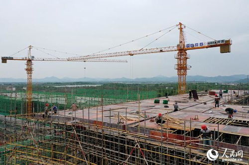 江西抚州加速建设大健康食品产业示范园，打造产业发展新高地