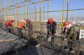 金昌市行政中心工程全速推进，一建公司聚力攻坚显担当